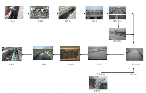 1715215526229219.jpg 2-53.jpg